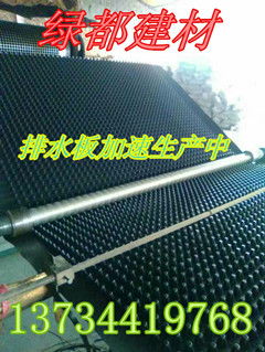 海南綠都建材排水板廠家直銷 規格齊全，高清圖片展示